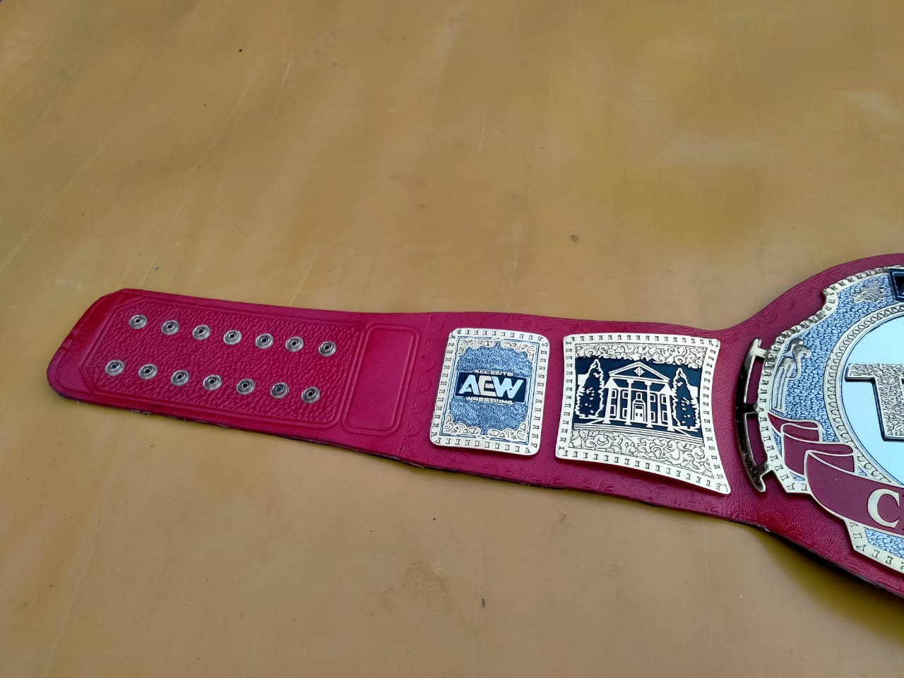 TNT Championship Replica Title Belt